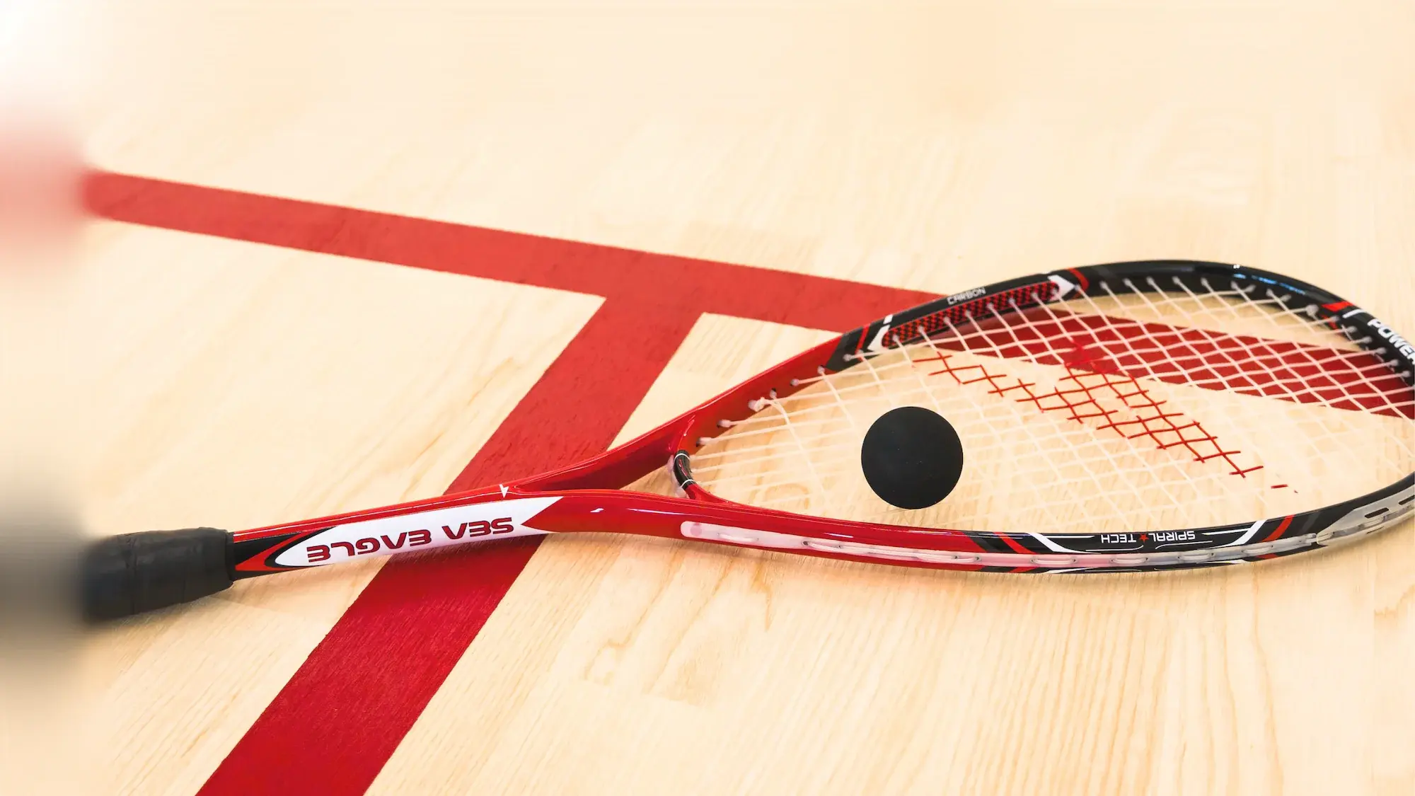 Rzeszowska Liga Squash