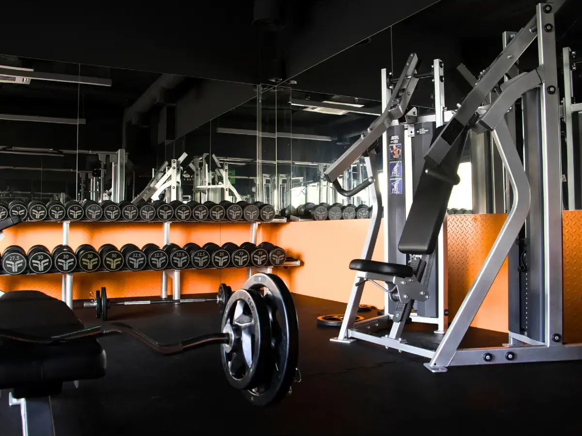 Power and strength area — Teho Sport gym, Trzebownisko